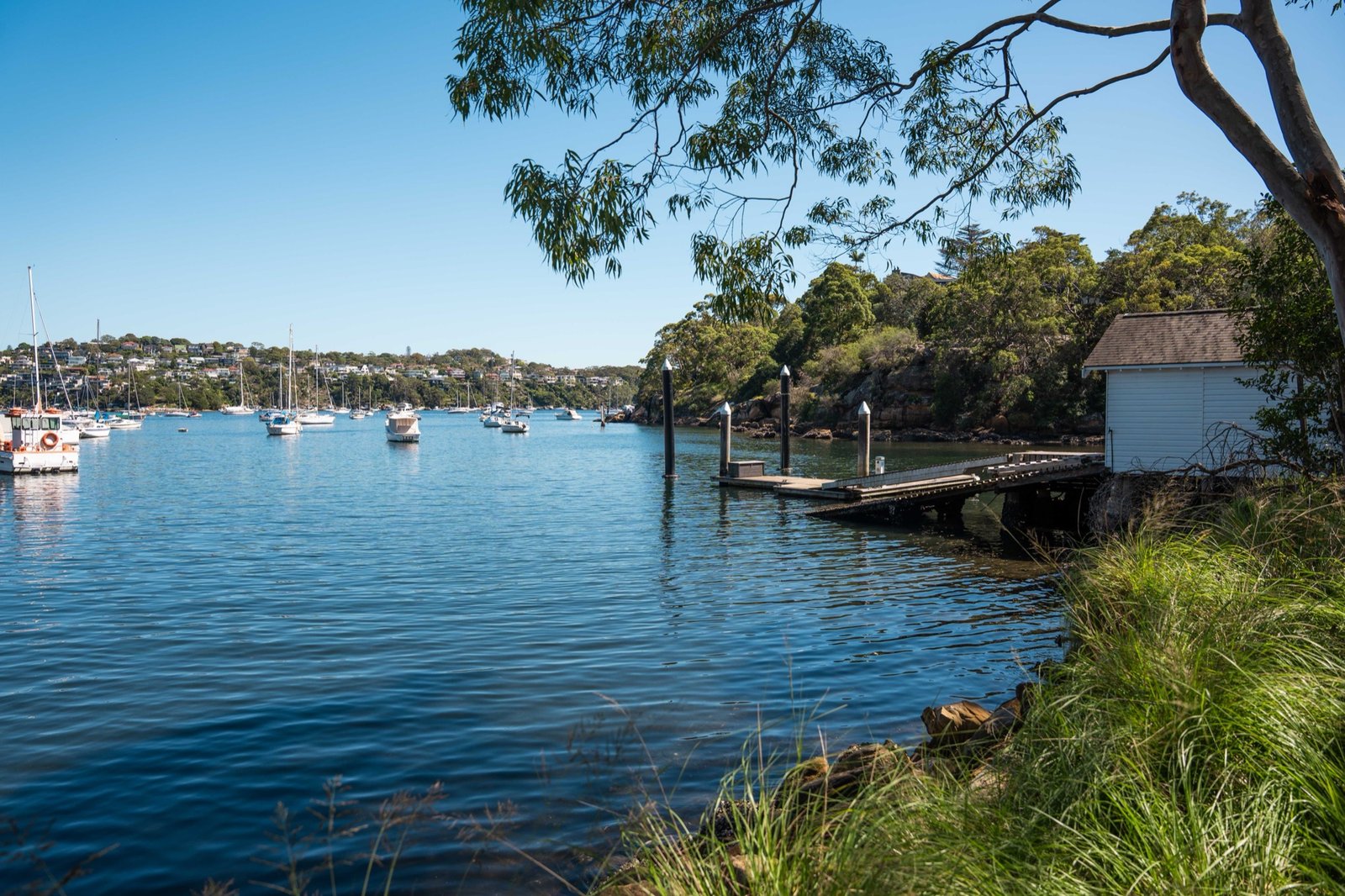 Mosman harbourside view near Chinamans Beach